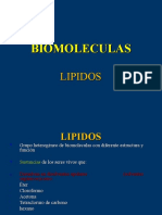 Lipidos