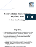 ANATOMIA DE REPTILEES Y AVES.pdf