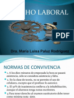 Derecho Laboral: Dra. María Luisa Paluz Rodríguez