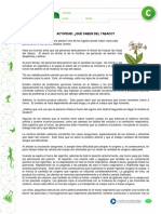 guìa de trabajo.pdf