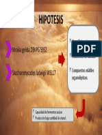 DESCRIPCIÓN RESUMIDA DE LOS ALCANCES DE INVESTIGACIÓN-hipotesis