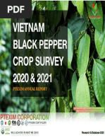 Pepper Crop Survey 2020 & 2021 - Ptexim Corp