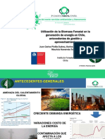 Generacionconbiomasa PDF