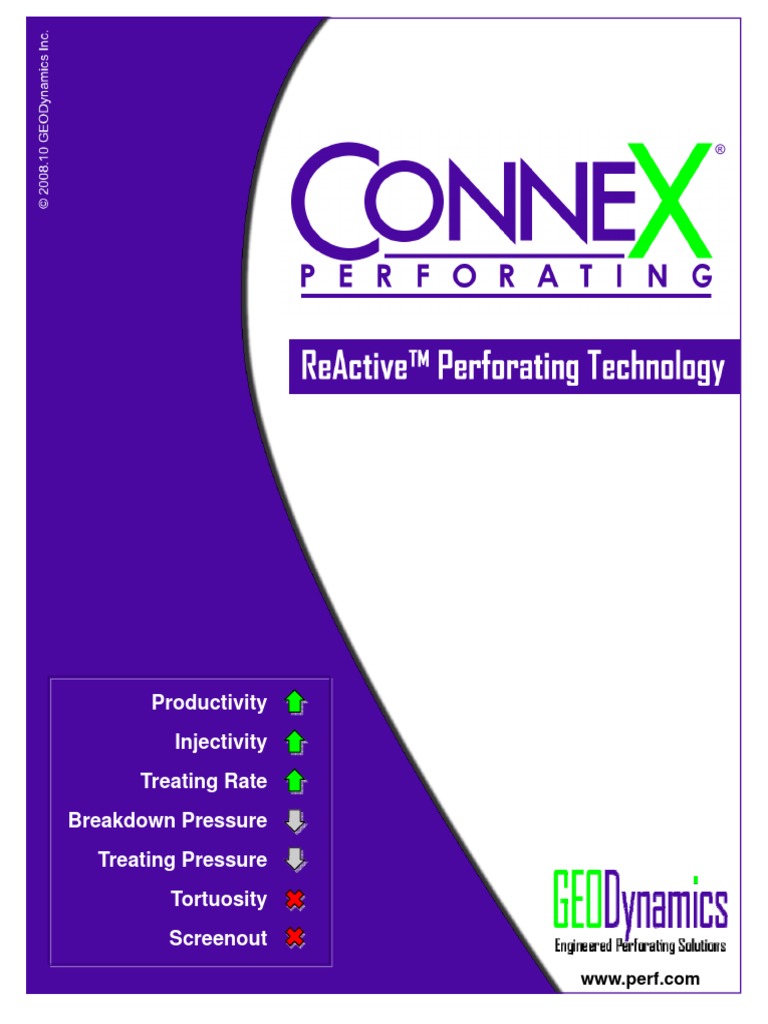 GEODynamics CONNEX Brochure 2008.10 - Rev2 Final PDF | PDF | Hydraulic ...