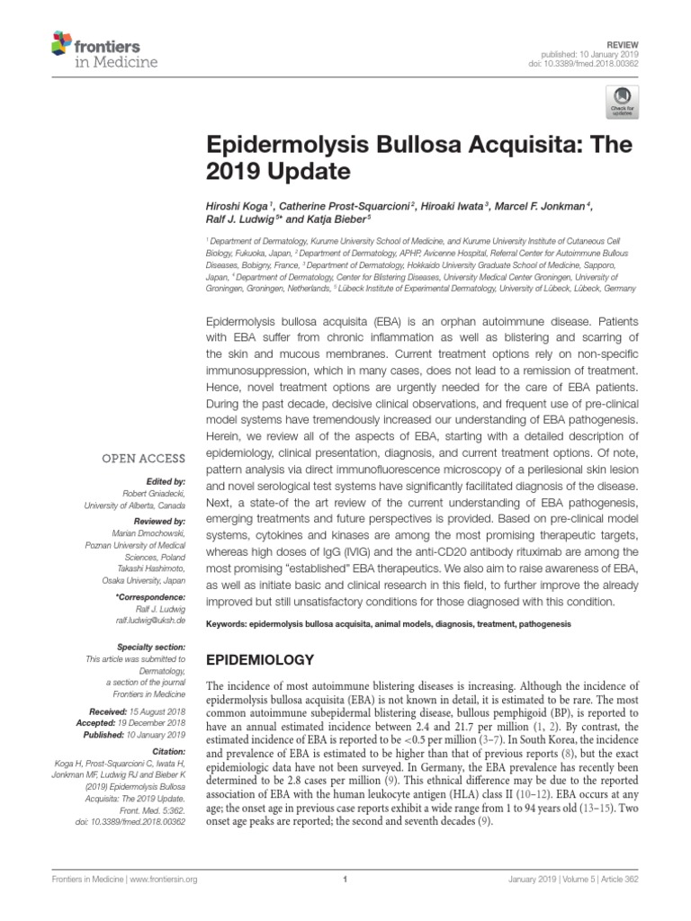 Epidermolysis Bullosa Acquisita The 2019 Update PDF | PDF | Elisa ...