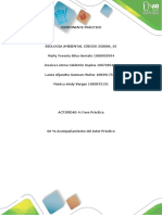 358006_45 Fase practica Actividad 4.pdf