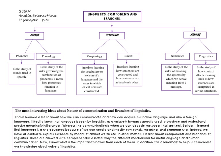 Linguistics intelligence overview