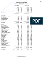 Verde-Income Statement