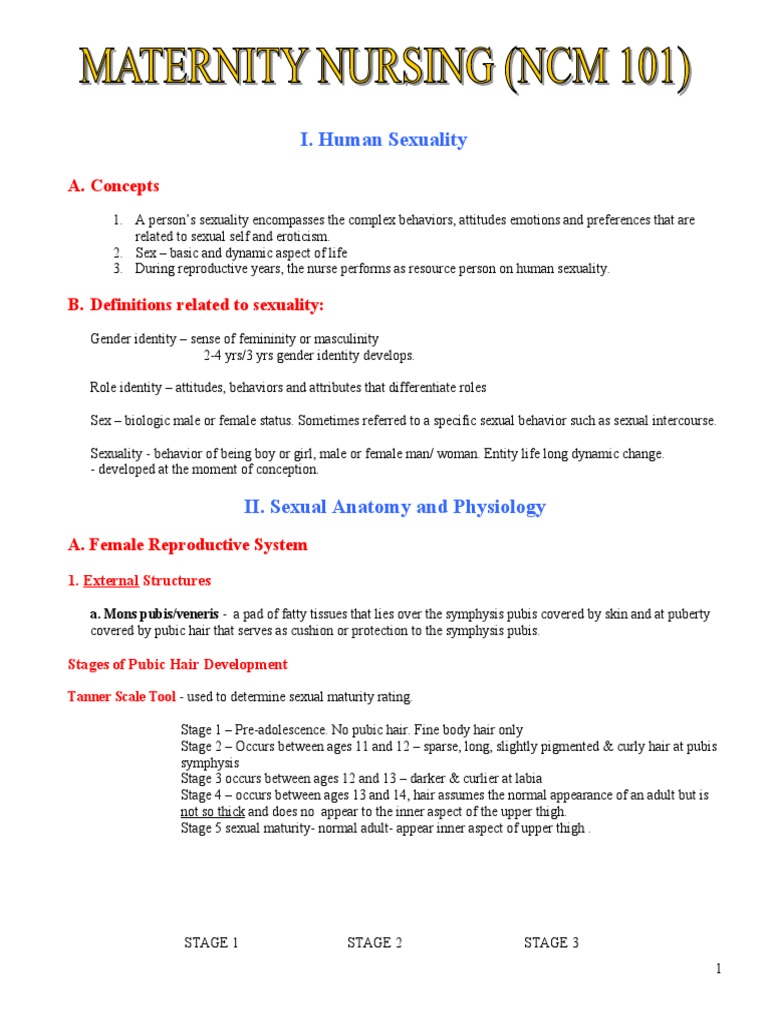 Maternity Nursing! PDF Menstrual Cycle Implantation (Human Embryo)