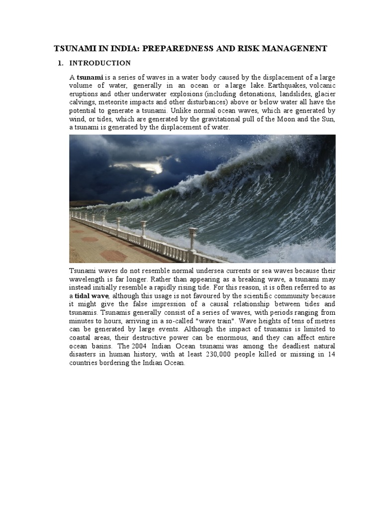 Original tsunami in india