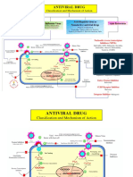 Antiviral - Classification and Images