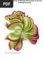 Download Kirstenbosch Botanical Art Biennale 2010 by Art Times SN46909675 doc pdf