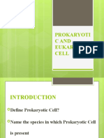 prokaryotic cell.pptx