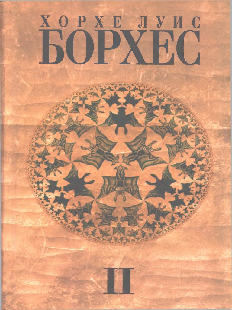 волосатые ииси зелах 