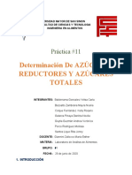 Informe #11 Azúcares