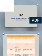 Alat Gerak Hewan Dan Fungsinya