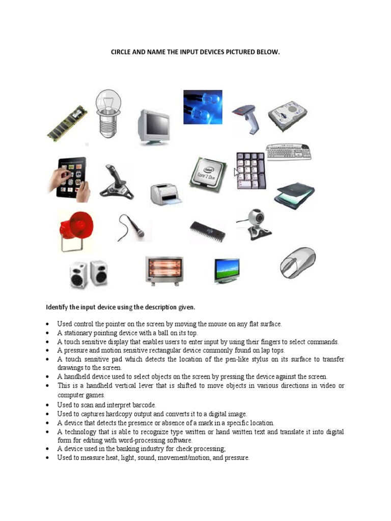 Name Three Input Devices