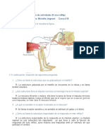 Guiadeactividades Elarcoreflejo