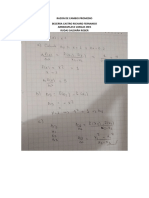 Problemas - Desarrollo1