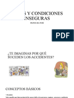 Actos y Condiciones Inseguras Frutos Del Perú