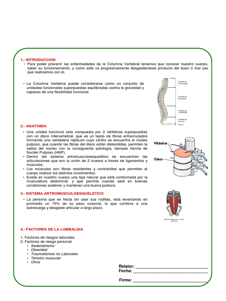 Prevención de Enfermedades de Columna | PDF | La columna vertebral ...