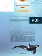 Los Delfines