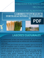 Labores Culturales Del Esparrago1