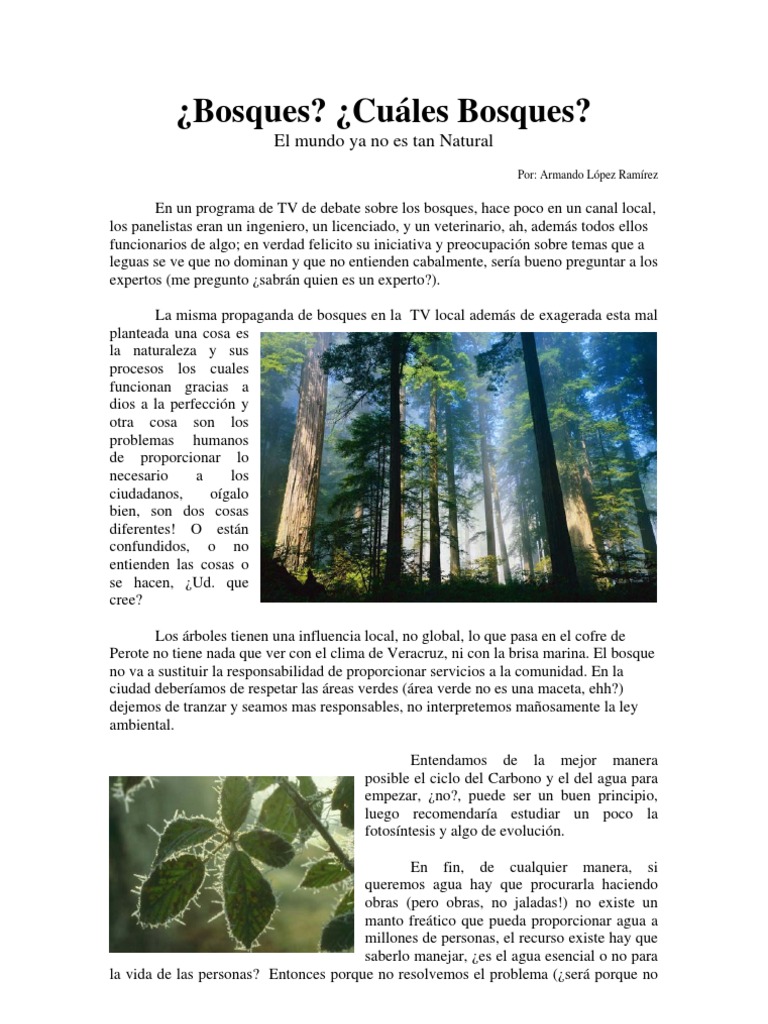 ¿Bosques? ¿Cuales Bosques? Los bosques Alimentos Free 30day Trial Scribd