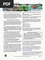 Cherokee NF Ginseng 2020