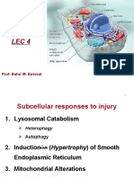 Subcellular Response, GENERAL PATHOLOGY .