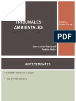 VI. Tribunales Ambientales