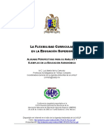 Flexibilidad Curricular en La Educación Superior PDF