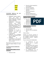 DERECHOS HUMANOS (Resumen)