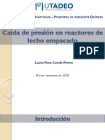 Caída de Presión en Reactores Empacados-2020-I