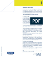 Manual de la AFP.pdf
