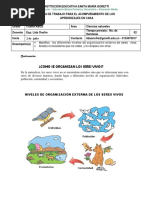 11¿ Cómo Se Organizan Los Seres Vivos