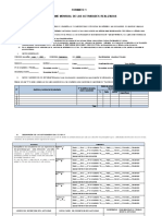 Estructura de Informes - NT Trabajo Remoto