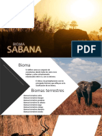 Ecosistema Sabana