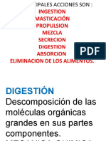 Sistema Digestivo-Parametros Nutriocinales