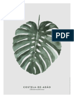 Costela de Adao PDF