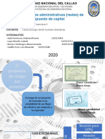 Riesgo y opciones administrativas de presupuesto de capital