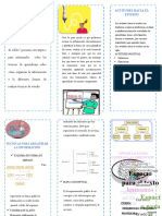 Triptico Ecosistema