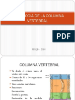 Osteologia de La Columna Vertebral - 20180606070108