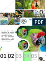 Papagayos J Loros y Periquitos PDF
