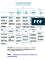 Acciones Constitucionales - Mapa Conceptual