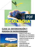 CLASE 9 - 2020 Deforestación