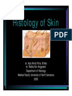 dms146 Slide Histology of Skin PDF