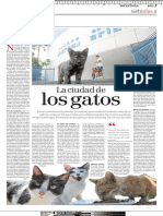 ciudadgatos