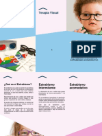Terapia Visual PDF