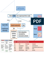 2 Mapa Mental Introducao A Histologia Corrigido